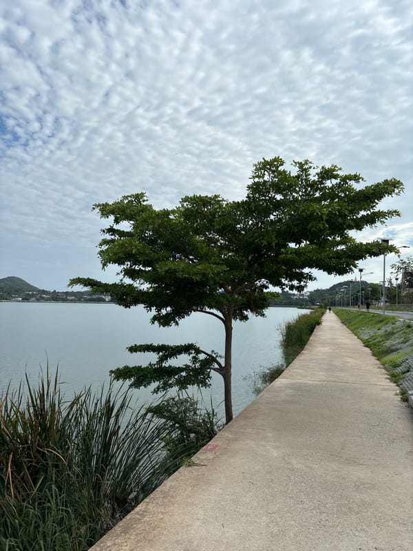 Woman observed at waterfront park in Baan Chaweng, Thailand