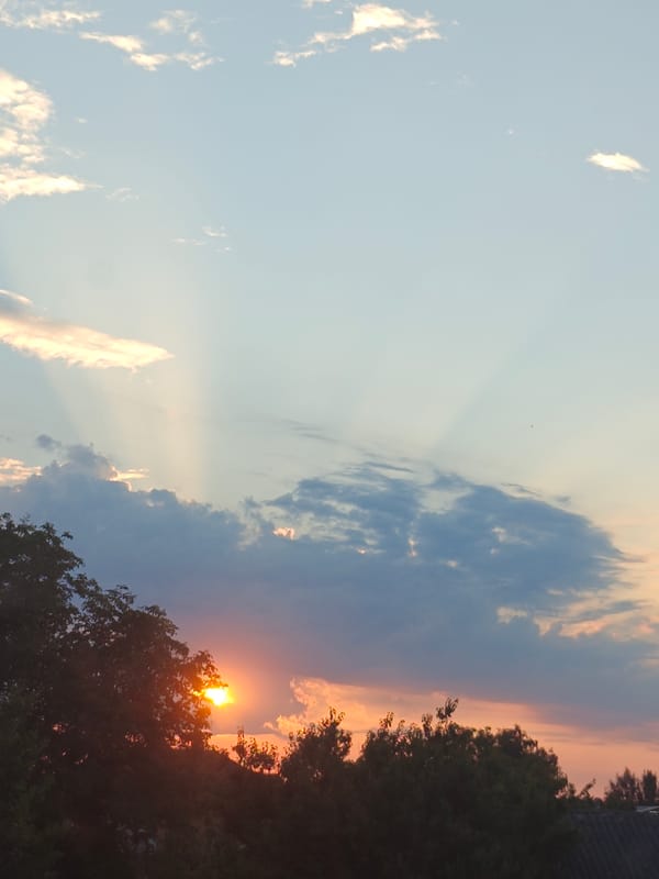 Backyard pets, playground moments, and a striking Hadiach sunset.