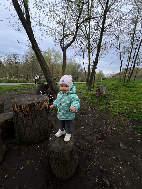 Spring afternoon moments captured across Rostov-on-Don parks and homes