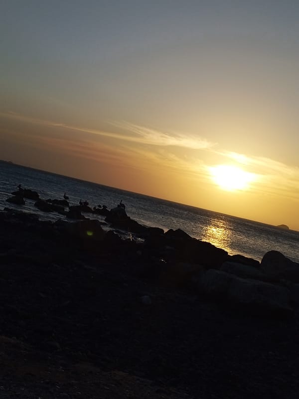 Evening fishing activities documented along Pedro González Venezuela coastline