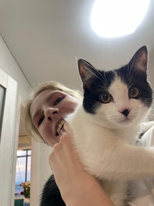 Cat owner and sunset viewer share quiet moments in Izhevsk