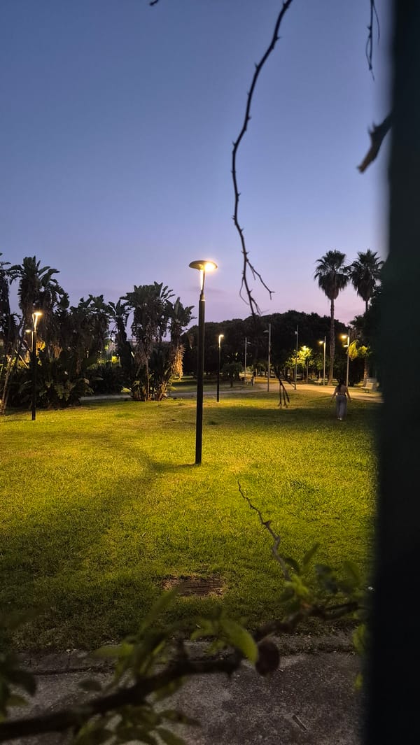 Parks, city streets, and a gym as evening sets in