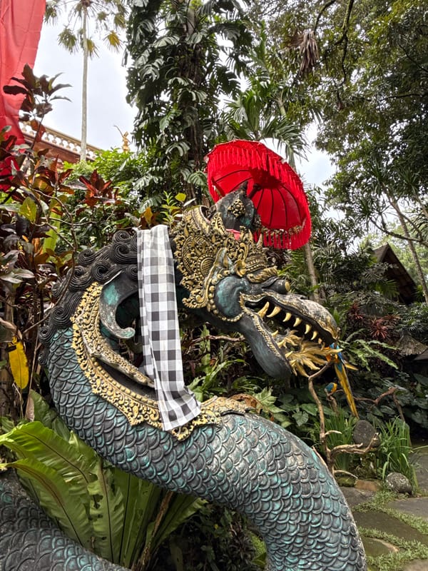 Tourist captures Balinese temples and exotic birds in Ubud