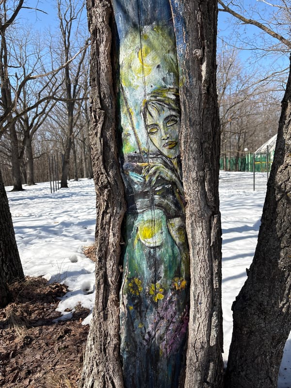 Spring awakening documented in Ulyanovsk birch groves and landscapes