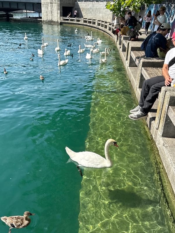 Sunny afternoon along Zurich's waterfront and Old Town streets