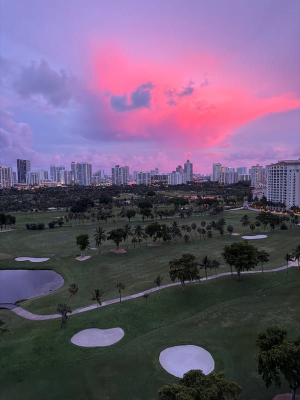 Pink and purple sunset colors the Aventura sky