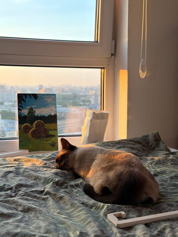 Cat and woman documented in separate indoor scenes