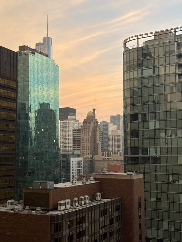 Chicago skyline at golden hour, multiple angles