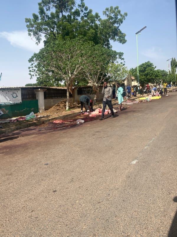 Roadside commerce and meat processing documented in Gombe, Nigeria