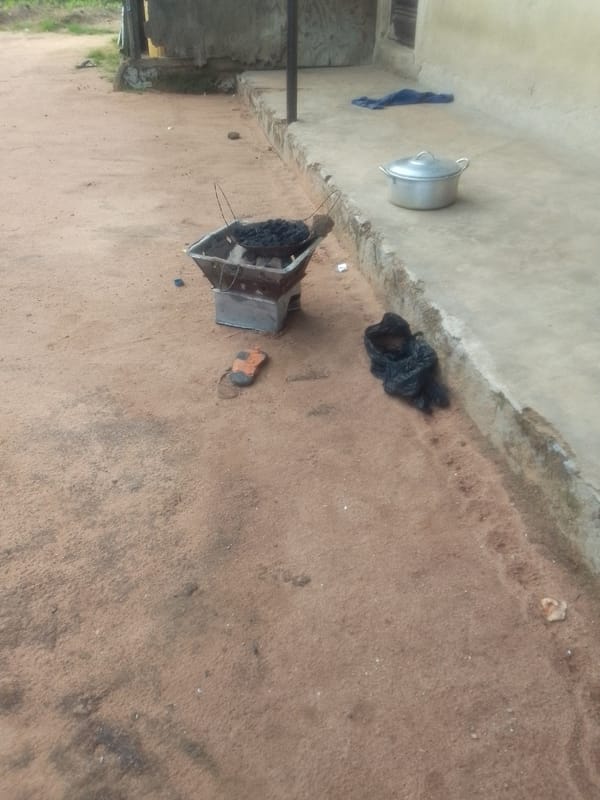 Everyday scenes from a Jalingo neighborhood: fences, fields, and street life