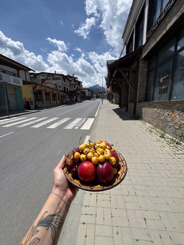 Fresh cherries and peaches on a decorative plate in Bansko