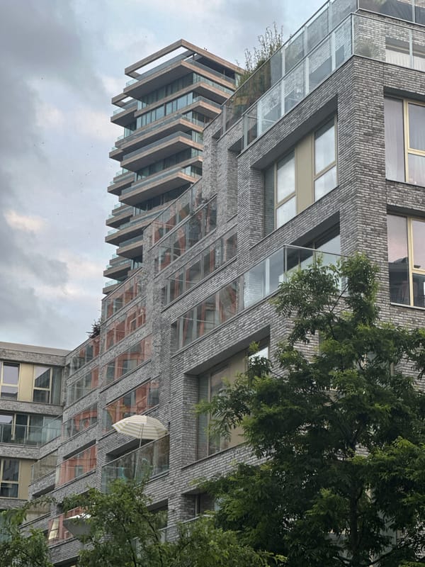 Amsterdam resident documents cat, architecture during overcast evening