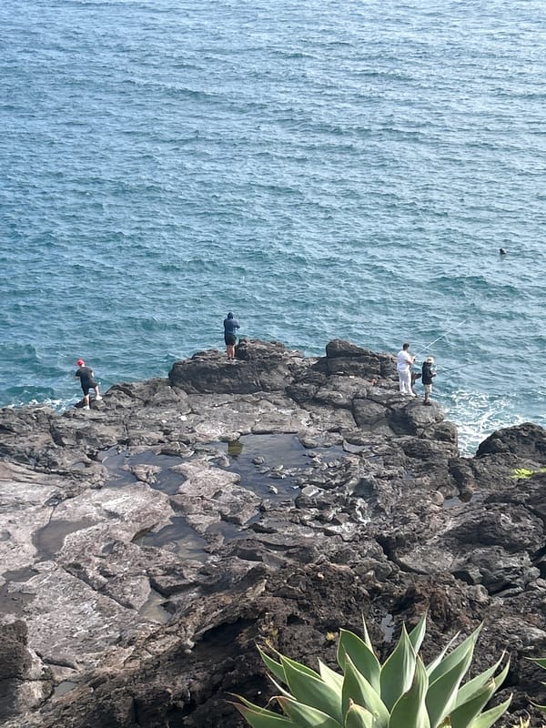 Daily life captured in Portuguese fishing village of Câmara de Lobos