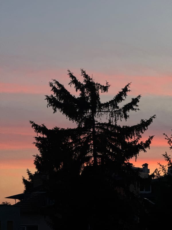 A Sofia evening: sunsets, home shelves, and street-level moments