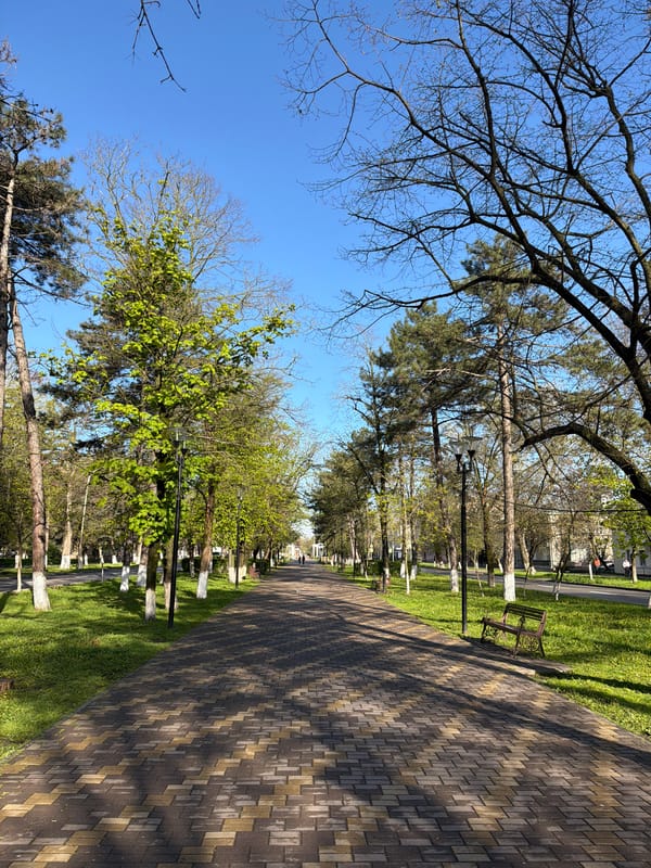 Park walkway documented in Mineralnye Vody, Russia