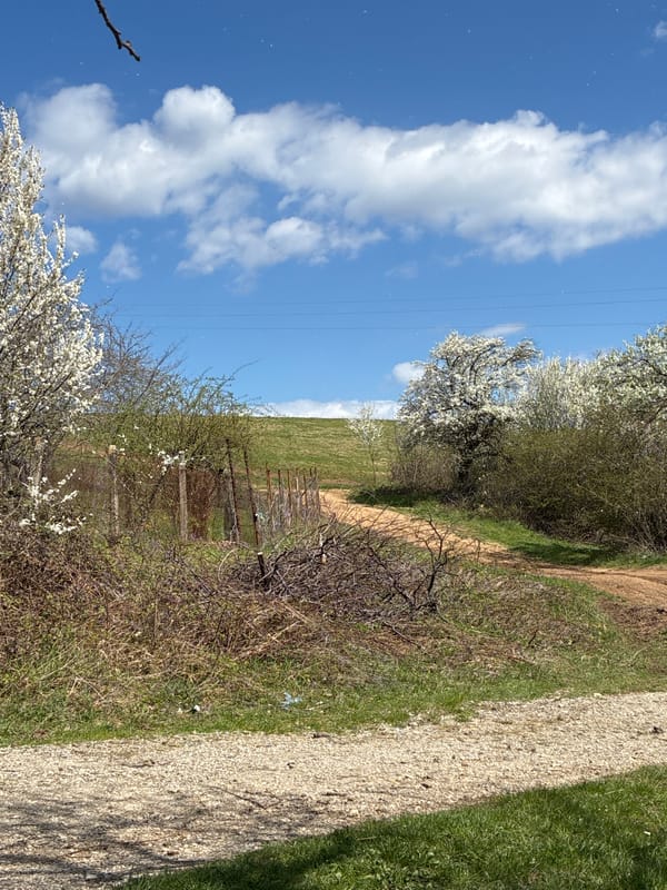 Rural landscapes documented near Berkovitsa, Bulgaria countryside