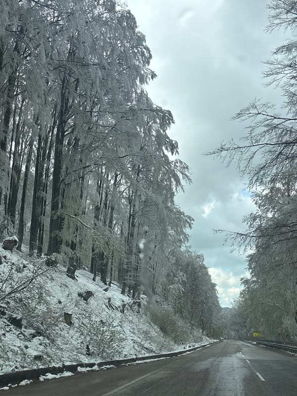 Winter road conditions documented in Barziya, Bulgaria