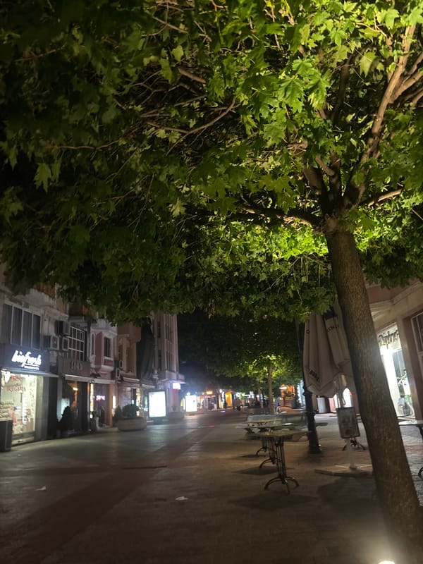 Friends socialize on nighttime streets in Plovdiv, Bulgaria
