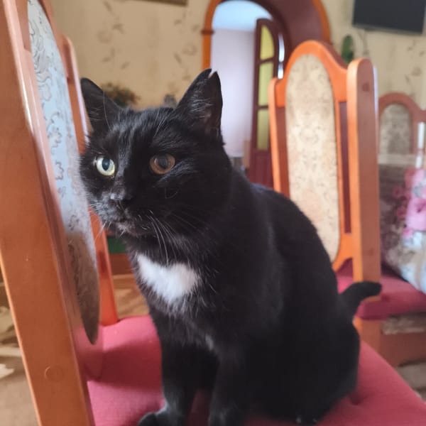 Early spring morning captured in Chaikovsky through everyday moments