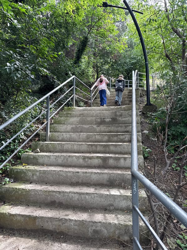 Woodland staircase walk with nature details