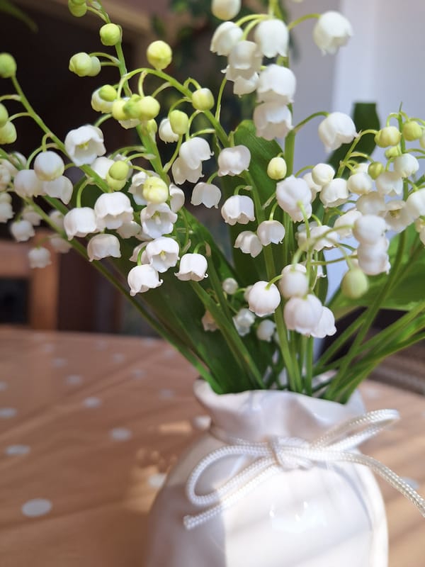 Springtime domestic scene captured in Montana, Bulgaria home