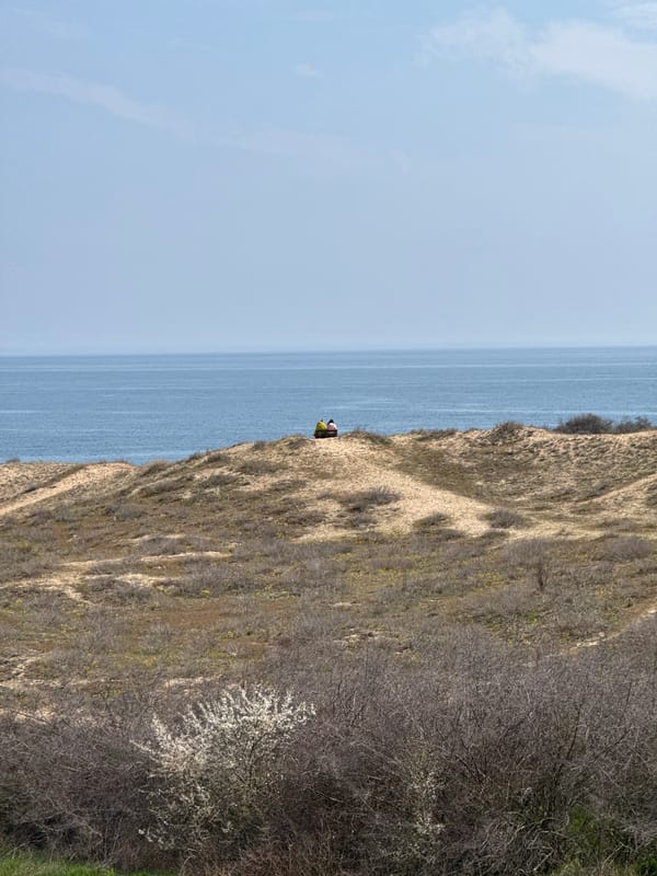 Morning coastal views documented near Primorsko, Bulgaria cliffs