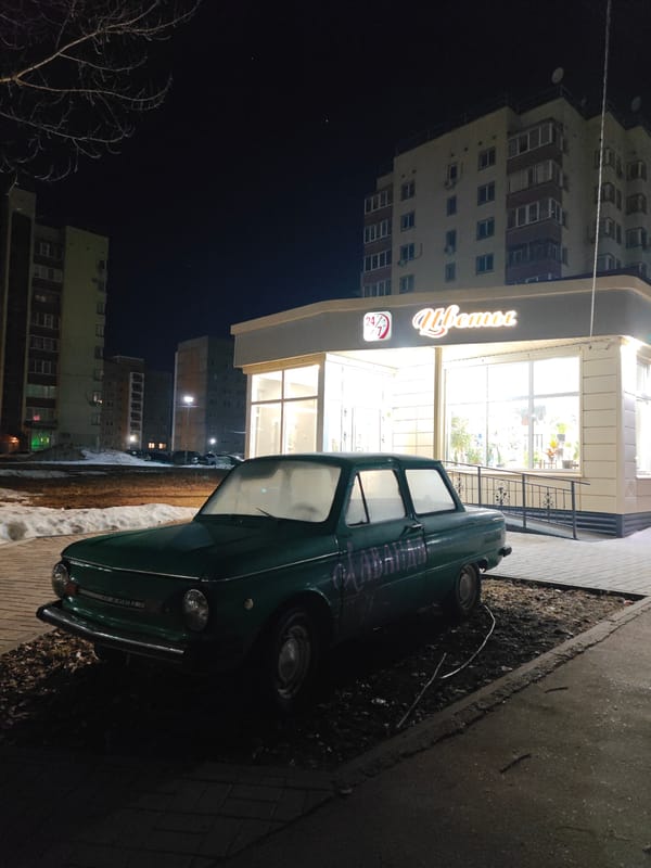 Quiet evening moments with pet captured in Chaikovsky, Russia