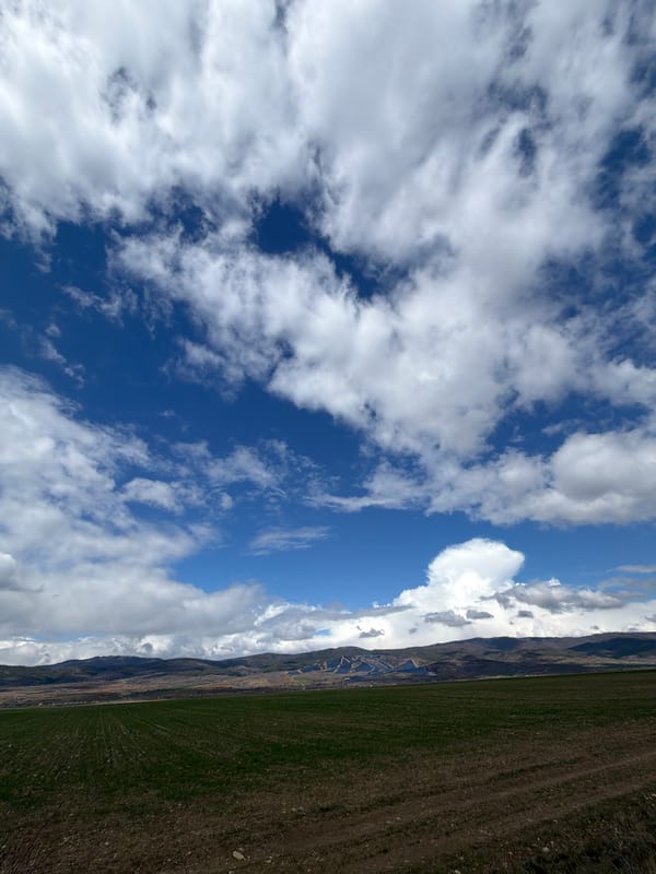Rural landscape documented near Kraynitsi, Bulgaria on April 4