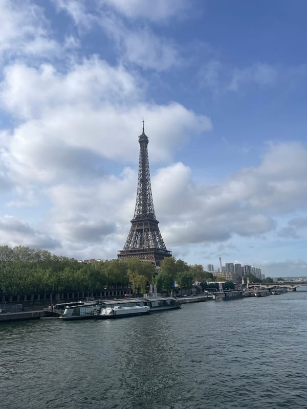 Tourist captures classic Paris scenes: Eiffel Tower and love locks