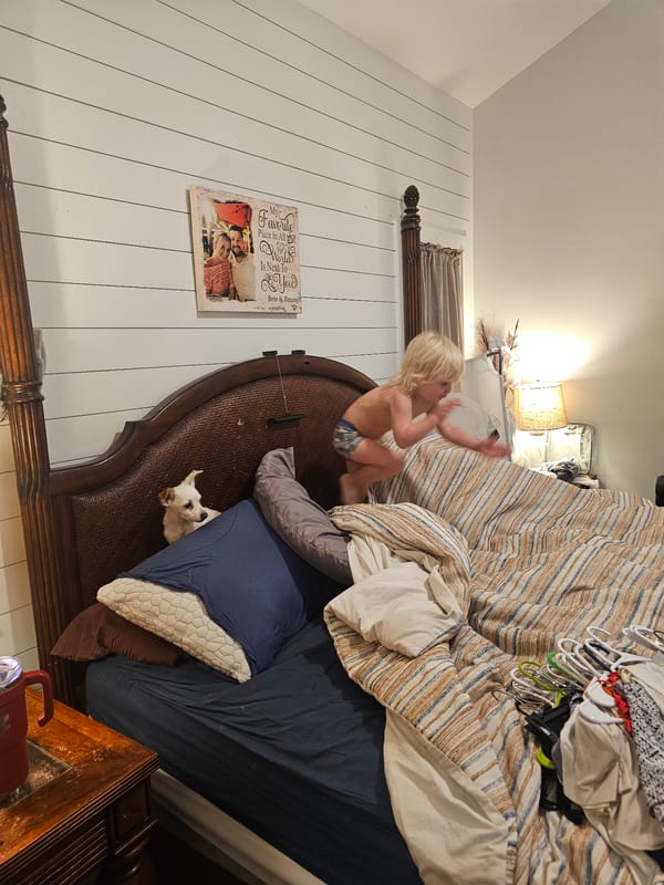 Child jumps on bed with dog in Islamorada room