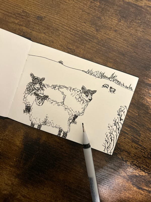 Hand-drawn sheep sketch observed on notebook paper in Manchester