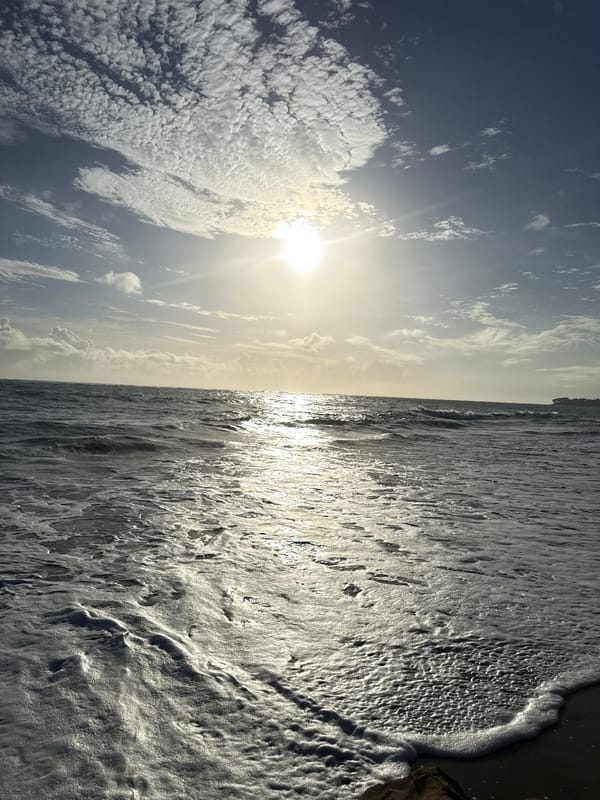 Beach conditions documented at Cabarete, Dominican Republic