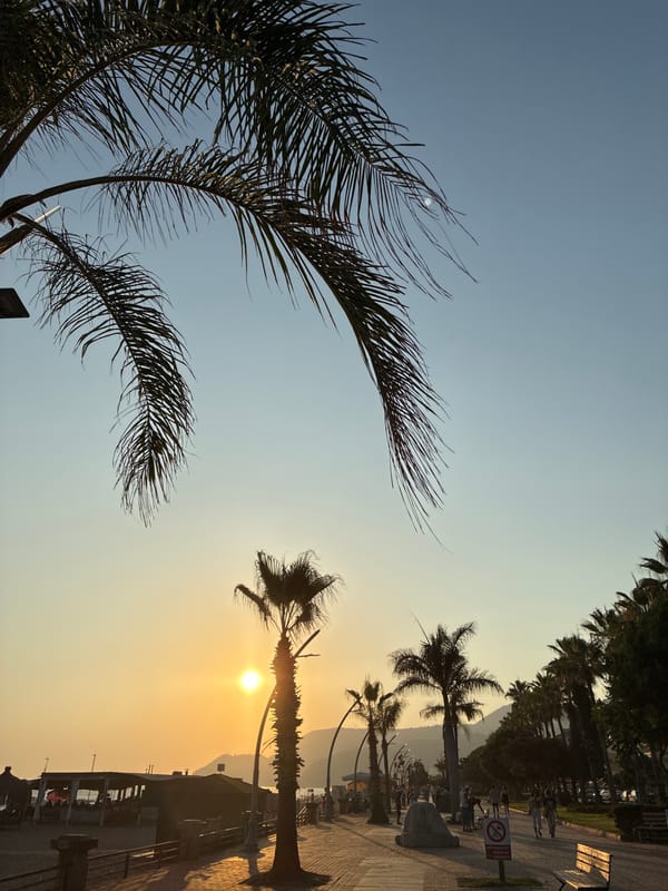 Golden hour along Alanya's palm-lined waterfront