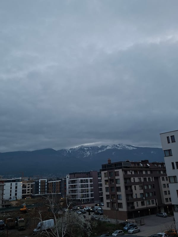 Spring blooms and daily life captured across Sofia