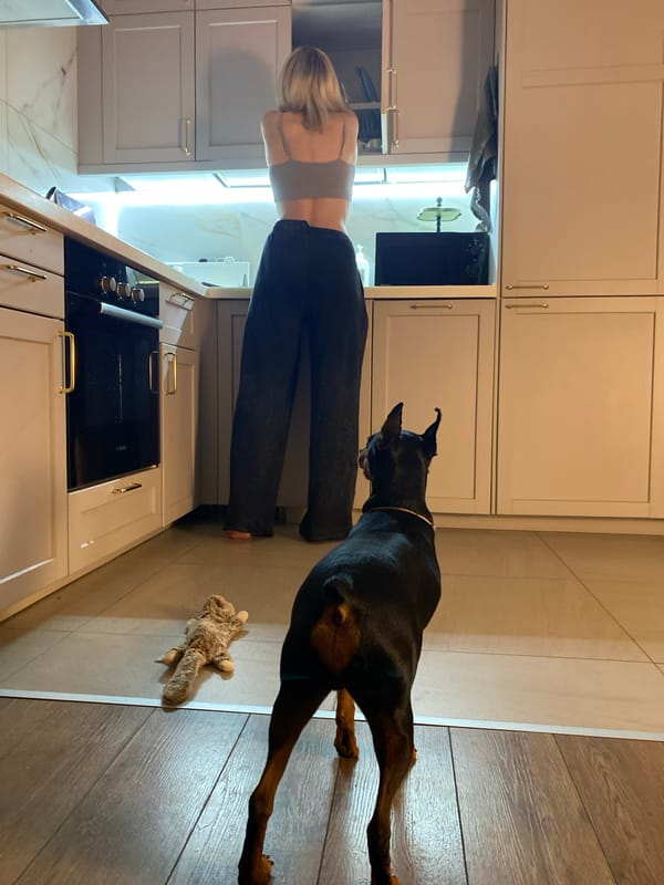 Dogs, tea, and a relaxed evening in a Moscow apartment