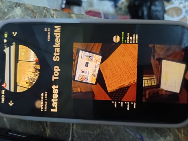 Social media post with iPad photos documented in Minna