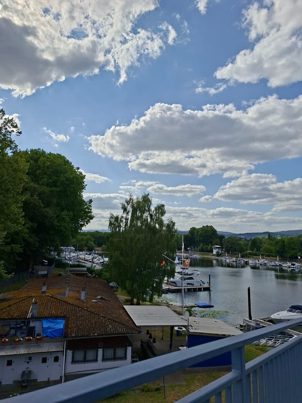 Summer afternoon at Wiesbaden's Rhine riverfront and Schierstein marina
