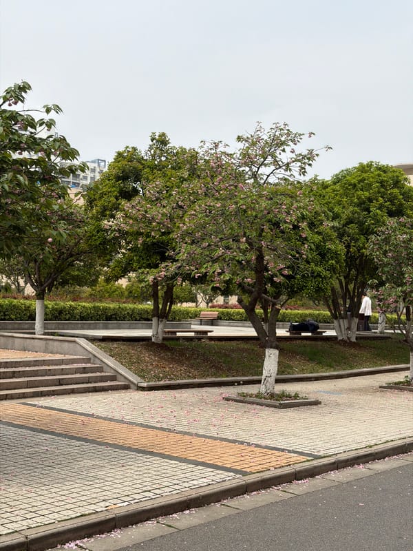 Spring walkways and convenience store documented in Jiangning District