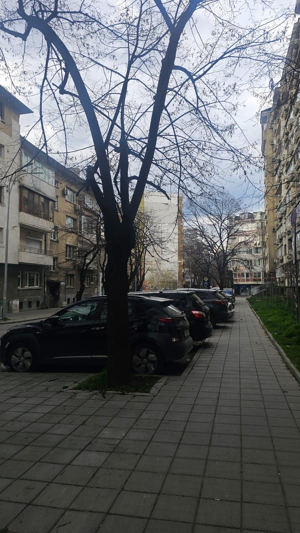 Morning street scene documented in Varna, Bulgaria