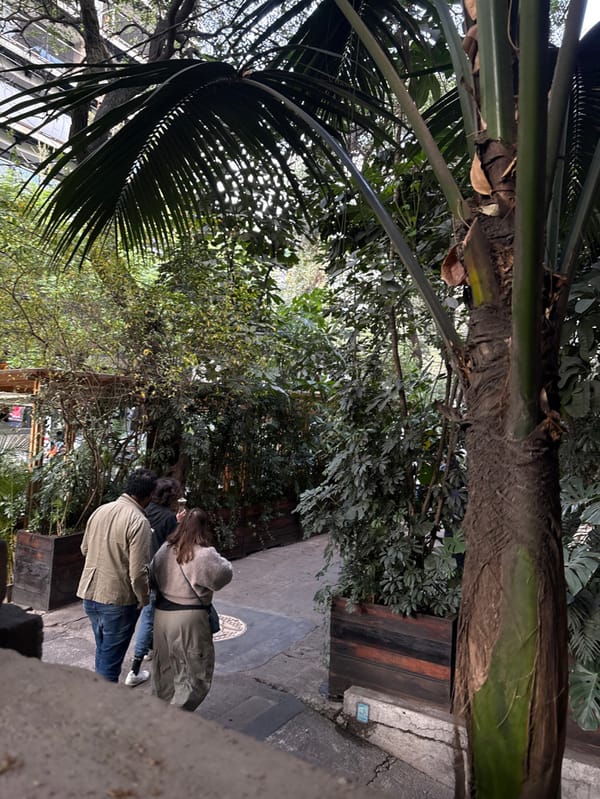 Evening dining experience documented at Mexico City restaurant