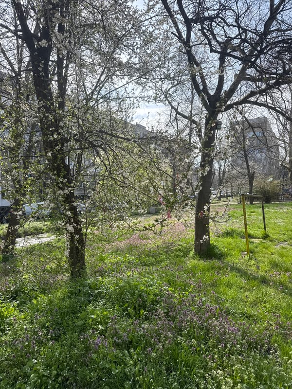 Spring morning documented across parks and streets in Burgas
