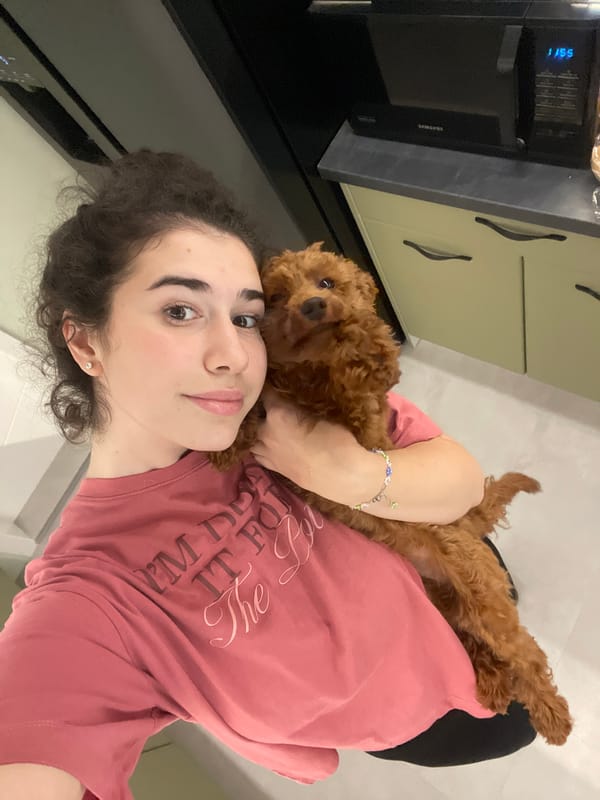 Woman spends morning with poodle and cat in Sofia