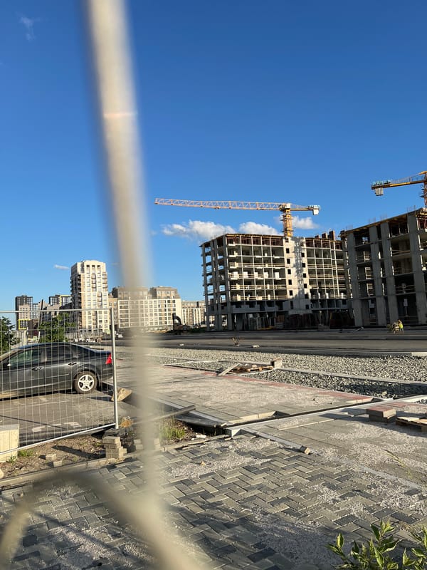 Construction and wildflowers coexist in a Yekaterinburg summer afternoon