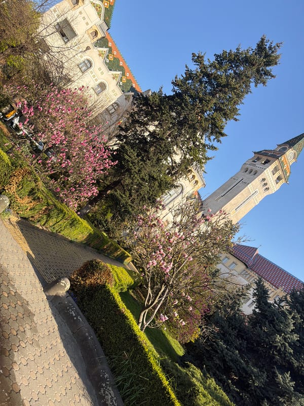 Morning commute documented in Târgu Mureș, Romania