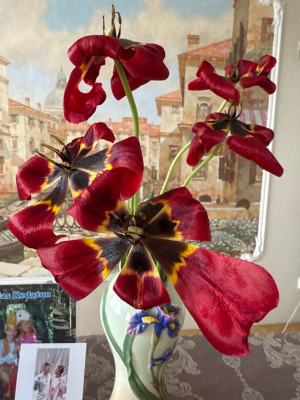 Red and black tulip bouquet displayed in Vsevolozhsk