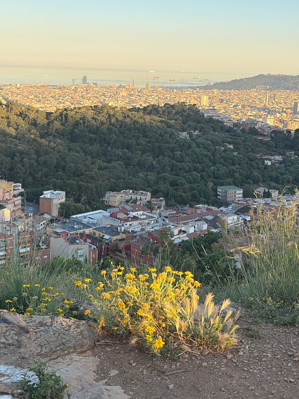 Observer photographs Barcelona cityscape from hillside during golden hour