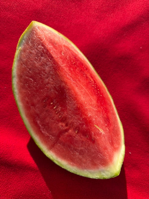 Watermelon slice and woman in NY cap photographed in Vancouver