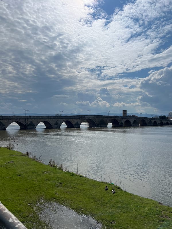 Wildlife spotted near water in Svilengrad, Bulgaria