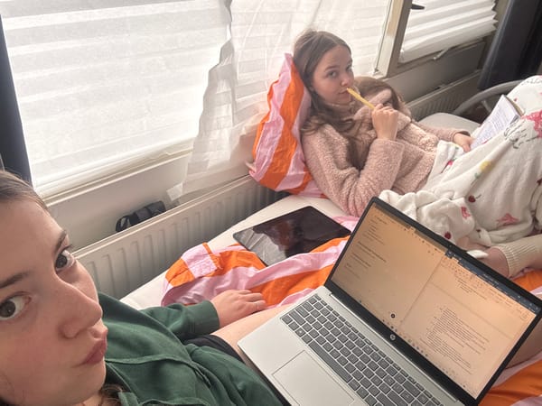 Laptop study session in Enschede bedroom