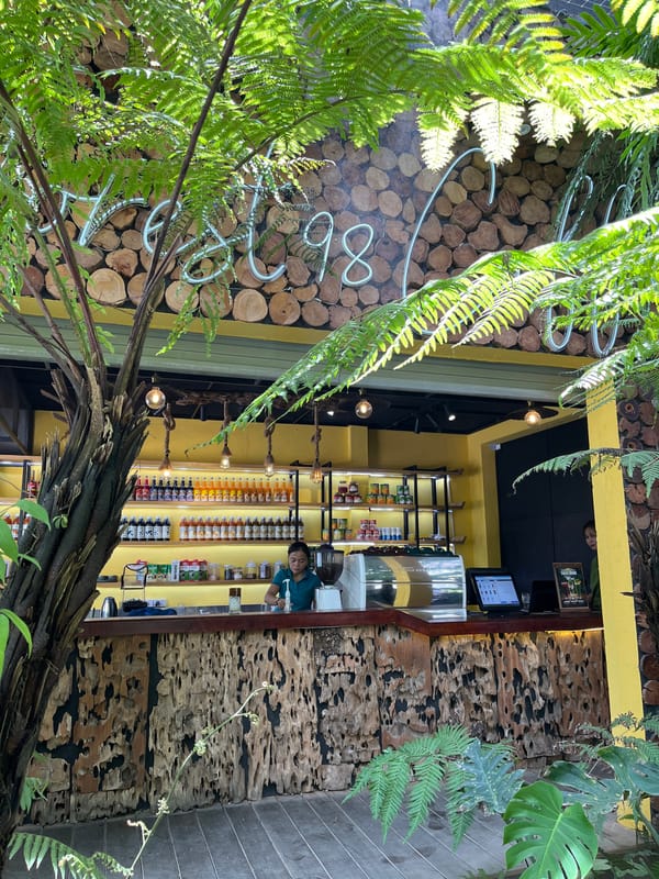 Tourist feeds koi, explores tropical garden cafe in Đà Nẵng